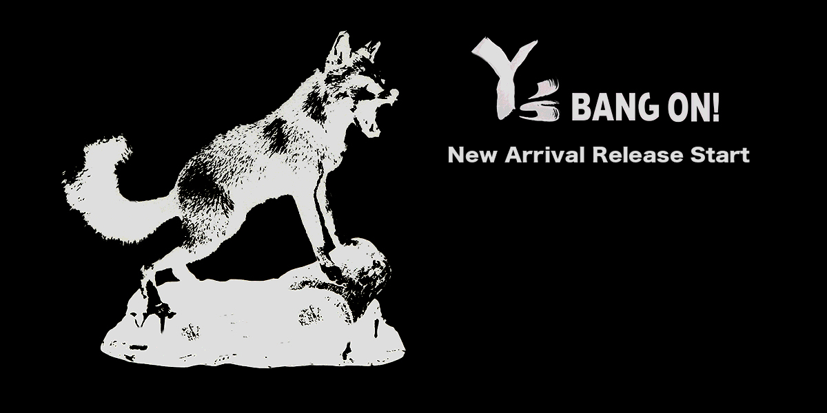 Y’s BANG ON ! New Collection Release Start !